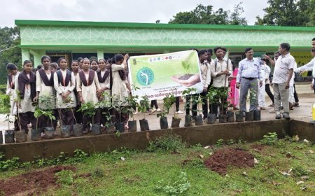 ଆଦିବାସୀ ମହାବିଦ୍ୟାଳୟରେ ବନ ମହୋତ୍ସବ