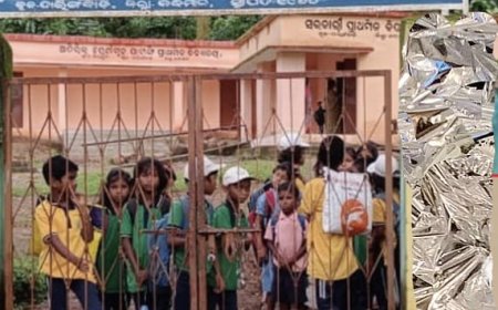 ଟୀକାନେଇ ୬ ଛାତ୍ରଛାତ୍ରୀ ଅସୁସ୍ଥ ଘଟଣା: ଶିକ୍ଷା ବିଭାଗ ତରଫରୁ ତଦନ୍ତ ଆରମ୍ଭ