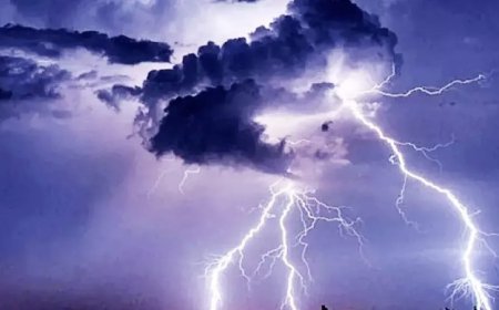 ବଜ୍ରପାତ ଘଟି ୫ ଛେଳିର ଜୀବନ ଗଲା