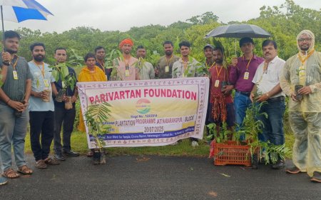 ପରିବର୍ତ୍ତନ ଫାଉଣ୍ଡେସନର ସଭ୍ୟ ମାନେ ସବୁଜ ନବରଙ୍ଗପୁର ଜିଲ୍ଲା ଗଠନ ନିମନ୍ତେ ଅଣ୍ଟା ଭିଡ଼ିଲେ