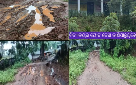 ।। ଲମତାପୁଟ:ବଡ଼ମୁଣ୍ଡା ଗ୍ରାମର ରାସ୍ତା ପାଲଟିଛି ମରଣ ଯନ୍ତା ।।ବିଧାୟକ ରଘୁରାମ ମାଛ ଙ୍କ ଅଞ୍ଚଳର ଅବସ୍ଥା