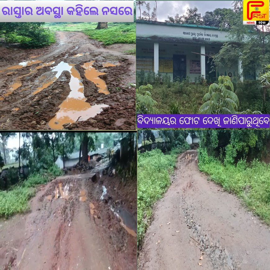 ।। ଲମତାପୁଟ:ବଡ଼ମୁଣ୍ଡା ଗ୍ରାମର ରାସ୍ତା ପାଲଟିଛି ମରଣ ଯନ୍ତା ।।ବିଧାୟକ ରଘୁରାମ ମାଛ ଙ୍କ ଅଞ୍ଚଳର ଅବସ୍ଥା