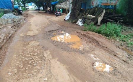 ପାଲିଟିଛି ମରଣଯନ୍ତା ବୁଟି ପଦର ଗାଁ ରାସ୍ତା