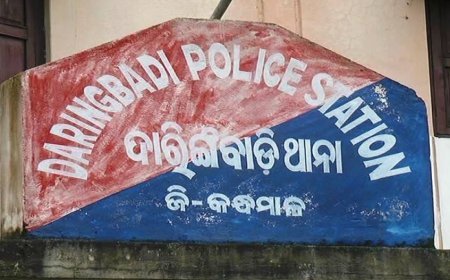 ପୋଲିସକୁ ଖୋଲା ଚ୍ୟାଲେଞ୍ଜ: ଦାରିଙ୍ଗବାଡ଼ି ଥାନା ଅଞ୍ଚଳରେ ବଢ଼ିଚାଲିଛି ଅପରାଧିକ କାର୍ଯ୍ୟକଳାପ