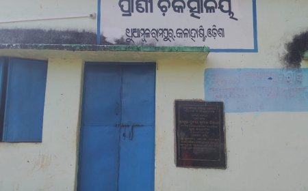ପ୍ରାଣୀ ଧନ ନିରୀକ୍ଷଣ ଙ୍କୁ କିଏ ଦେଉଛି ମାସିକ ପାଉଣା ତା ପାଇଁ ଶହ ଶହ ପ୍ରାଣୀ ଧନ କ୍ଷତି ପଞ୍ଚାୟତ ବାସୀ କଲେ ଅଭିଯୋଗ