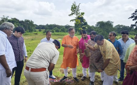 ନୂଆପଡା ଜିଲ୍ଲାରେ "ଏକ୍ ପେଡ ମା କେ ନାମ୍ " କାର୍ଯ୍ୟକ୍ରମରେ ଏକ ଦିନ ରେ ଲାଗିଲା ୫ ଲକ୍ଷ ୭୨ ହଜାର ଗଛ