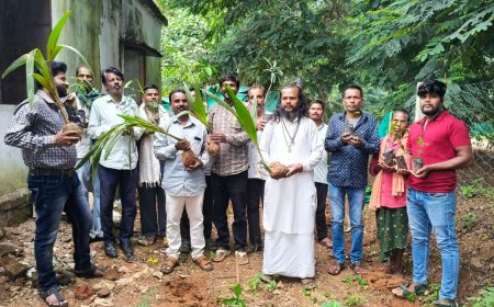 କବୀର ଧର୍ମଦାସ ବଂଶାବଳୀ ମିଶନ ଦ୍ୱାରା ବୃକ୍ଷରୋପଣ