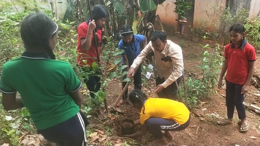 କୋରାପୁଟ ଜିଲ୍ଲା ନନ୍ଦପୁର ବ୍ଲକ ବୃକ୍ଷ ରୋପଣ କାର୍ଯ୍ୟକ୍ରମ ପ୍ରଧାନମନ୍ତ୍ରୀଙ୍କ ଜନ୍ମ ଦିନ ଅବସରରେ