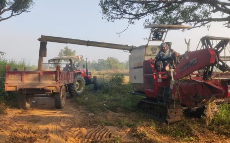 ଚାଷ କାର୍ଯ୍ୟରେ କୃଷିଯନ୍ତ୍ରପାତିର ବହୁଳ ବ୍ୟବହାର ;ଗାଁ ଦାଣ୍ଡରେ ଆଉ ଶୁଭୁନାହିଁ ଶଗଡର ଶବ୍ଦ କି ଚାଷୀ ମୁହଁରେ ହଲୁଆ ଗୀତ