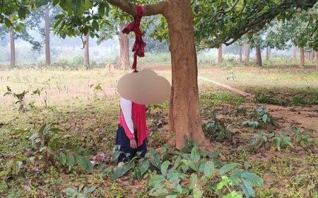 ଜଙ୍ଗଲ ରାସ୍ତା କଡ଼ରୁ ଅଜଣା ଯୁବତୀର ଝୁଲନ୍ତା ଶବ ଉଦ୍ଧାର