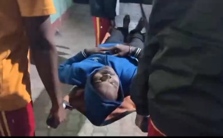 ପରିବା ବୋଝେଇ ଟ୍ରକ ଦୁର୍ଘଟଣାରେ ୨ ଜଣ ଗୁରୁତର ଆହତ ହୋଇଥିବା ବେଳେ ଜଣେ ସାମାନ୍ୟ ଆହତ