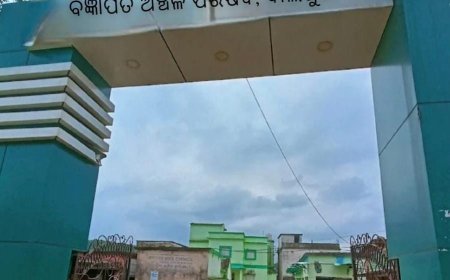 ଏନ୍‌ଏସି ବୈଠକରେ କୌଣସି ତଥ୍ୟ ମାଗିଲେ ମିଳୁନି:ଅଧାରୁ ଉଠି ପଳାଇଲେ କାଉନ୍‌ସିଲର