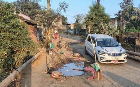 ବାଲିଗୁଡା ଠାରୁ ସାଡିଙ୍ଗିଆ ରାସ୍ତା ଅବସ୍ଥା ଅତି ଶୋଚନୀୟ: ପୋଲ ମଝିରେ ବଡ଼ ଗର୍ତ୍ତ ସୃଷ୍ଟି: ଦୁର୍ଘଟଣା ଆଶଙ୍କା