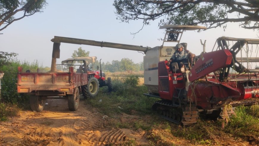 ଚାଷ କାର୍ଯ୍ୟରେ କୃଷିଯନ୍ତ୍ରପାତିର ବହୁଳ ବ୍ୟବହାର ;ଗାଁ ଦାଣ୍ଡରେ ଆଉ ଶୁଭୁନାହିଁ ଶଗଡର ଶବ୍ଦ କି ଚାଷୀ ମୁହଁରେ ହଲୁଆ ଗୀତ