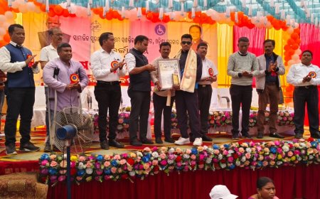 ଜିଲ୍ଳା ସ୍ତରୀୟ ଆନ୍ତର୍ଜାତିକ ଭିନ୍ନକ୍ଷମ ଦିବସ ପାଳିତ