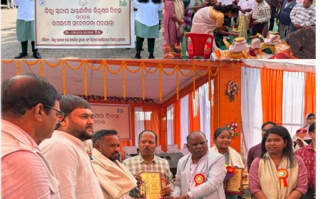 ନୂଆପଡାରେ ଆନ୍ତର୍ଜାତିକ ଭିନ୍ନକ୍ଷମ ଦିବସ ପାଳିତ