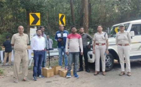 ଓଡ଼ିଶାରେ ପ୍ରଥମ:କଳିଙ୍ଗା ଘାଟିରେ ଦୁର୍ଘଟଣା ପ୍ରବଣ ଚିହ୍ନଟ ସ୍ଥାନରେ ଲାଗିଲା ଭେଇକଲ ସେନ୍ସର୍ ଆଲର୍ଟ ଯନ୍ତ୍ର