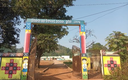 ସରଗଡାକୁ ଫାଣ୍ଡି କିମ୍ବା ଥାନା ହୋଇପାରିଲା ନାହିଁ / ଜିଲ୍ଲାପାଳ ଙ୍କ ପ୍ରତିଶୃତି ପାଣିର ଗାର