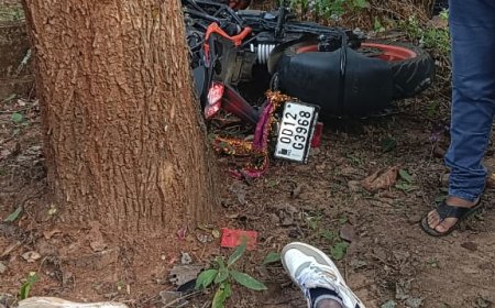 ଭାରସାମ୍ୟ ହରାଇ ରାସ୍ତା କଡ଼ ଗଛରେ ପିଟି ହେଲା ବାଇକ:  ଦୁଇ ମୃତ, ଜଣେ ଗୁରୁତର