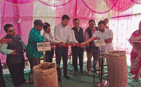 ମାଲକାନଗିରି ଜିଲ୍ଲାରେ ଧାନ କିଣା କାର୍ଯ୍ୟକ୍ରମର ଶୁଭାରମ୍ଭ କଲେ ଜିଲ୍ଲାପାଳ