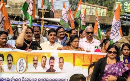 ଟାଟା ପାୱାରର ମନମୁଖୀ କାର୍ଯ୍ୟକୁ ବିରୋଧ ବାରିପଦାରେ ଜିଲ୍ଲା କଂଗ୍ରେସର ପକ୍ଷରୁ ବିକ୍ଷୋଭ 300 ୟୁନିଟ ମାଗଣା ବିଜୁଳି ପ୍ରଦାନ ବିଜେପିର ଏକ ନିର୍ବାଚନୀ ଚାଲ ଥିଲା