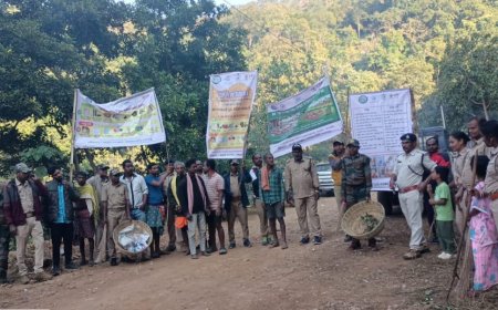 ବନ ବିଭାଗ ର ପ୍ରୟାସ -ସବୁଜ ସୁନ୍ଦର ପ୍ଲାଷ୍ଟିକ ଫ୍ରି ପର୍ଯ୍ୟଟନ ସ୍ଥଳ ଗଢ଼ିବା