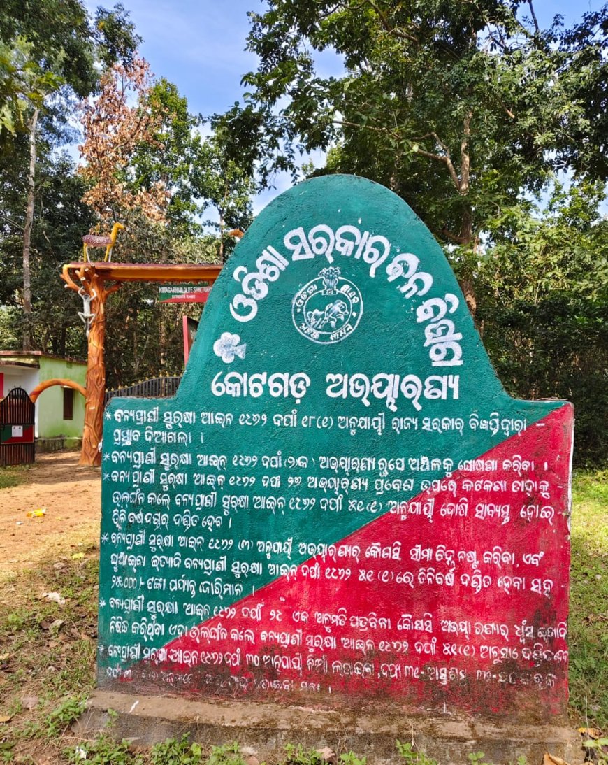 ଅଭୟାରଣ୍ୟ ଜଙ୍ଗଲ ସୁରକ୍ଷାରେ ବିଫଳ, ବିକାଶ ନା ରେ ଚାଲିଛି ବିନାଶ