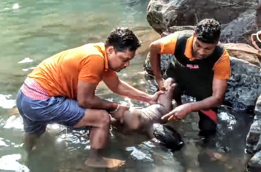 ପିକନିକ ହେଲା କାଳ  ସୀତାକୁଣ୍ଡରେ ବୁଡି ଦୁଇଭାଇଙ୍କ ମୃତ୍ୟୁ