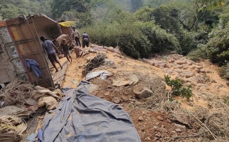 ଘାଟିରେ ଓଲଟିଲା ମକା ବୋଝେଇ ଟ୍ରକ୍, ବର୍ତ୍ତୀ ଗଲେ ଚାଳକ