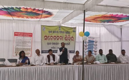 ନୂଆପଡ଼ା ଜିଲ୍ଲା ଡୁମେରପାଣି ଗ୍ରାମ ପଞ୍ଚାୟତରେ ପ୍ରବାସୀ ଶ୍ରମିକ ସଚେତନତା ସଭା ଓ ଅନ୍ୟାନ୍ୟ କାର୍ଯ୍ୟକ୍ରମ ଅନୁଷ୍ଠିତ