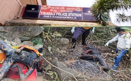 ଜଙ୍ଗଲରୁ ଯୁବକଙ୍କ ଦରପୋଡ଼ା ଶବ ଜବତ :  ହତ୍ୟା ସନ୍ଦେହ : ତଦନ୍ତ ଅବ୍ୟାହତ