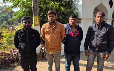 ପାଚେରୀ ଡେଇଁ ଘରେ ପଶିବାକୁ ଉଦ୍ୟମ କରୁଥିବା ୪ ଜଣ କୋର୍ଟ ଚାଲାଣ