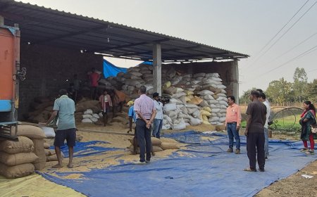 ଧାନ ଗୋଦମରେ ଅତର୍କିତ ଚଢାଉ ; ବେଆଇନଭାବରେ ଗଚ୍ଛିତ ଧାନ ଜବତ୍