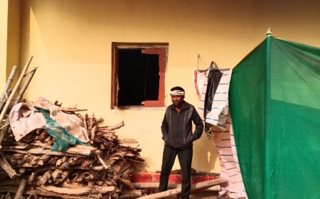 ନୂଆଗାଁ ରେ ହାତୀର ଆତଙ୍କ