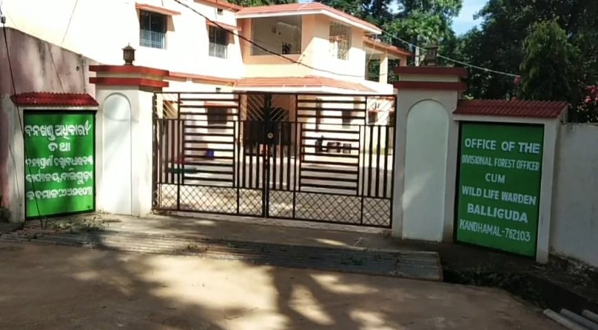 ବେଲଘର ବନାଞ୍ଚଳ: ଜଙ୍ଗଲ ରେ ହାତୀ ମୃତ୍ୟୁ ଘଟଣାରେ ରେଞ୍ଜର ନିଲମ୍ବିତ