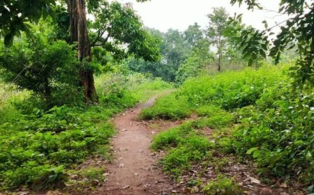 ସମୟ ବଦଳିଛି:ଆଧୁନିକ ଯୁଗର ବହୁଳ ପ୍ରଭାବ ପଡିଛି:ଦ୍ରୁତ ବିକାଶ ପଥରେ ସମାଜ