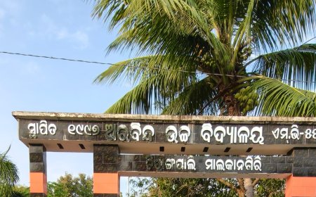 ଶ୍ରୀ ଅରୋବିନ୍ଦ ଉଚ୍ଚ ବିଦ୍ୟାଳୟ ଏମ. ଭି. - ୫୫ ରେ ମଧ୍ୟାହ୍ନ ଭୋଜନ ଅନିୟମିତତା ଅଭିଯୋଗ