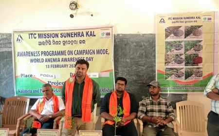 କ୍ଷୁଦ୍ର ଷସ୍ୟ ବଦଳାଇବ ରକ୍ତହୀନତାର ଚିତ୍ର, ବିଶ୍ଵ ରକ୍ତହୀନତା ଦିବସ ପାଳିତ