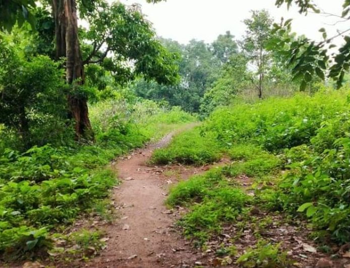 ସମୟ ବଦଳିଛି:ଆଧୁନିକ ଯୁଗର ବହୁଳ ପ୍ରଭାବ ପଡିଛି:ଦ୍ରୁତ ବିକାଶ ପଥରେ ସମାଜ