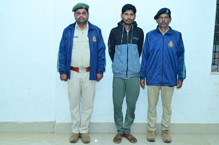 ବେଲଘର ହାତୀ ମୃତ୍ୟୁ ଘଟଣାରେ ଡ୍ରାଇଭର ଓ ଶିକାରୀ ଗିରଫ