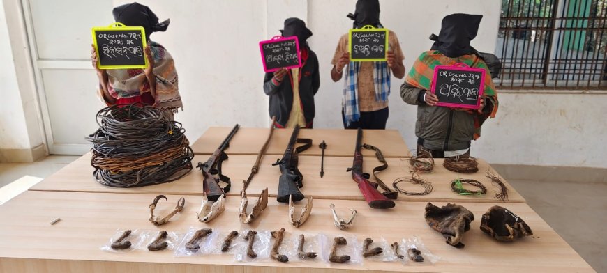 ବହୁ ଚର୍ଚ୍ଚିତ ବେଲଘର ହାତୀ ମୃତ୍ୟୁ ଘଟଣାରେ ଆଉ ୪ ଗିରଫ : ଦୁଇଟି ୪୦୭ ଗାଡ଼ି ସହ ବିଭିନ୍ନ ମରଣାସ୍ତ୍ର ଜବତ