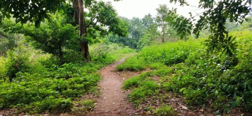 ସମୟ ବଦଳିଛି:ଆଧୁନିକ ଯୁଗର ବହୁଳ ପ୍ରଭାବ ପଡିଛି:ଦ୍ରୁତ ବିକାଶ ପଥରେ ସମାଜ