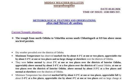 ଜଳବାୟୁ ପରିବର୍ତ୍ତନର ସାମ୍ନା ,ଦେଖାଦେଇଛି ଅତ୍ୟଧିକ ତାପମାତ୍ରାର ଅସ୍ଥିରତା  : ବିଶ୍ୱ ଜଳବାୟୁ ପରିବର୍ତ୍ତନ ଏବଂ ସ୍ଥାନୀୟ ଶିଳ୍ପାୟନର ପ୍ରଭାବ