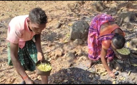 ବେପାରୀ ଙ୍କ ଠାରେ ଶୋଷଣ ର ଶିକାର ହେଉଛନ୍ତି ମହୁଳ ଗୋଟାଳି