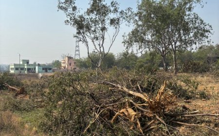 କଲେଜ ସମ୍ମୁଖରେ ବସ୍ ଷ୍ଟାଣ୍ଡ ହେବାକୁ ବିରୋଧ