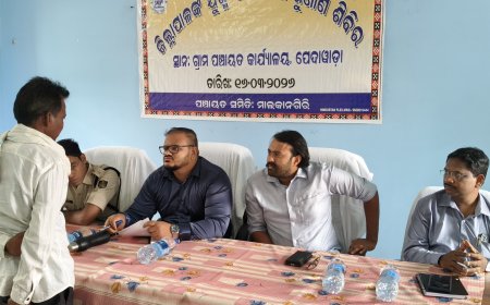 ପେଦାୱାଡ଼ାରେ ଜିଲ୍ଲା ସ୍ତରୀୟ ଅଭିଯୋଗ ଶୁଣାଣି ଶିବିର: ଲୋକଙ୍କ ସମସ୍ୟା ବୁଝିଲେ ଜିଲ୍ଲାପାଳ