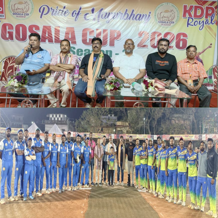 ଜାତୀୟ ସ୍ତରୀୟ ଗୋଶାଳା କପ ଦିବାରାତ୍ର କ୍ରିକେଟ ଟୁର୍ଣ୍ଣାମେଣ୍ଟ - ଫାଇନାଲରେ ଦାନୀ - ୧୧