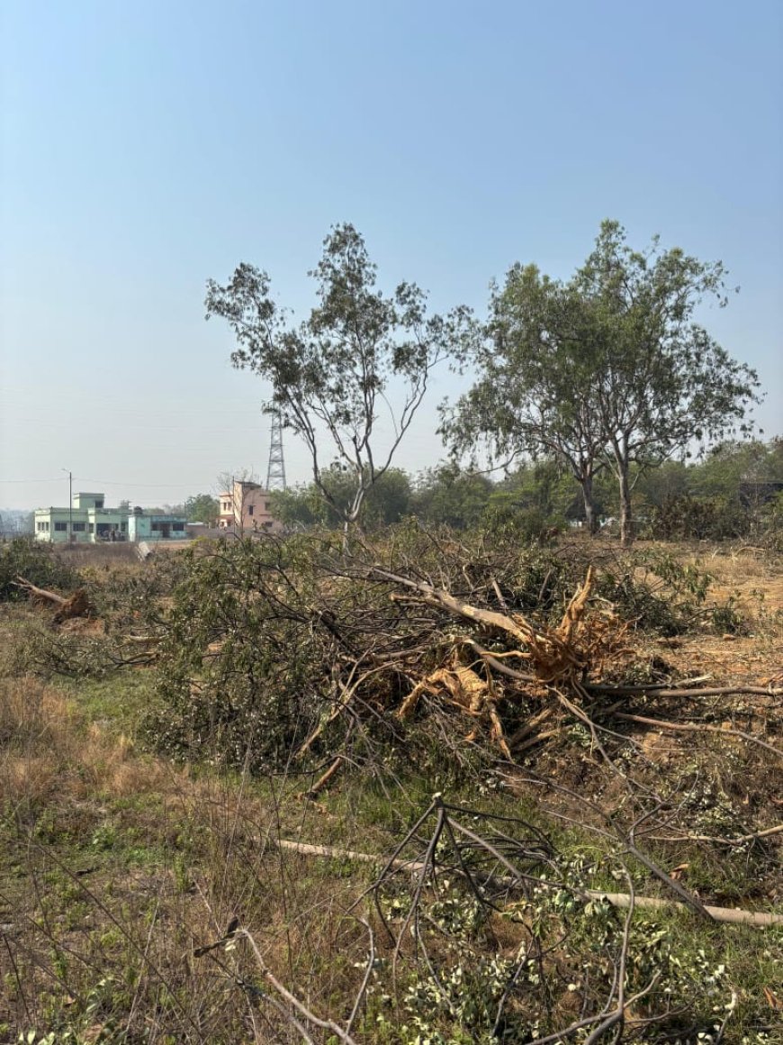 କଲେଜ ସମ୍ମୁଖରେ ବସ୍ ଷ୍ଟାଣ୍ଡ ହେବାକୁ ବିରୋଧ