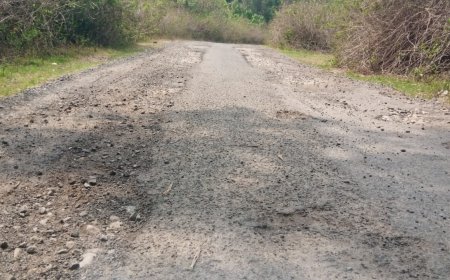 କେବେ ହେବ ମରାମତି ମରଣଯନ୍ତା ପାଲିଟିଛି ଧୂସାରିଗାଁ ଛକ ଠାରୁ ମାର୍ଦ୍ଦିଫଙ୍କା ରାସ୍ତା