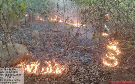 ପଞ୍ଜଲ ଜଙ୍ଗଲ ରେ ଲାଗିଲା ନିଆଁ   ଗ୍ରାମ ବାସିଙ୍କ ସହ ମିଶି ବନ ବିଭାଗ ର ମିଳିତ ଉଦ୍ୟମ ରେ ନିଆଁ ଆୟତ